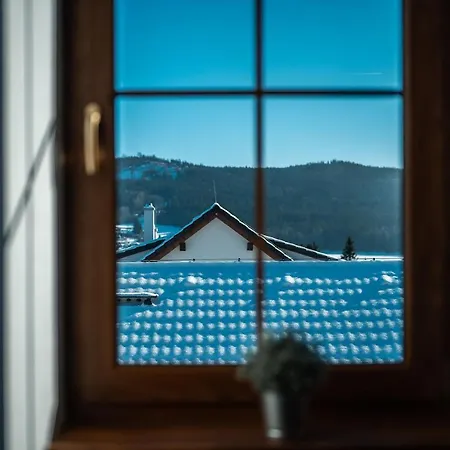 Lipno Villa *